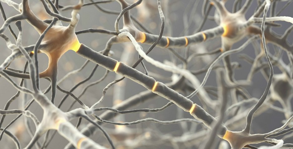 Alzheimer’ s disease: Research breakthrough – effective treatment underway