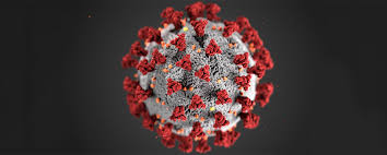 Sweden’s Covid strategy a failure,  Corona virus commission tell us.
